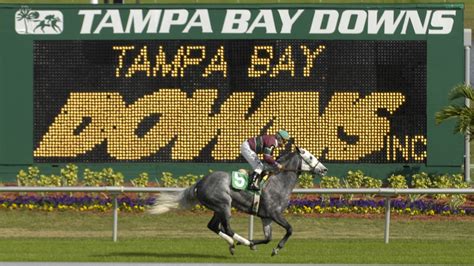 tampa bay downs bookies|Today's Tampa Bay Downs Racing Tips, Predictions & Odds .